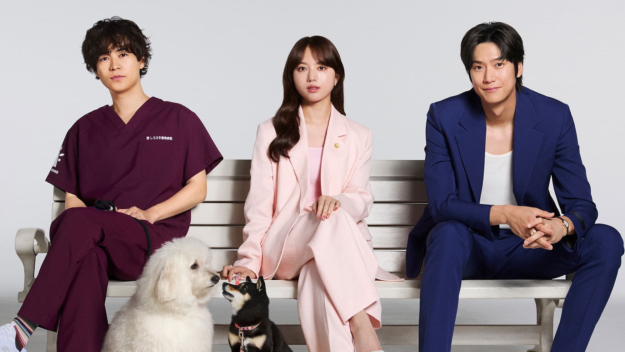 Love Is for the Dogs