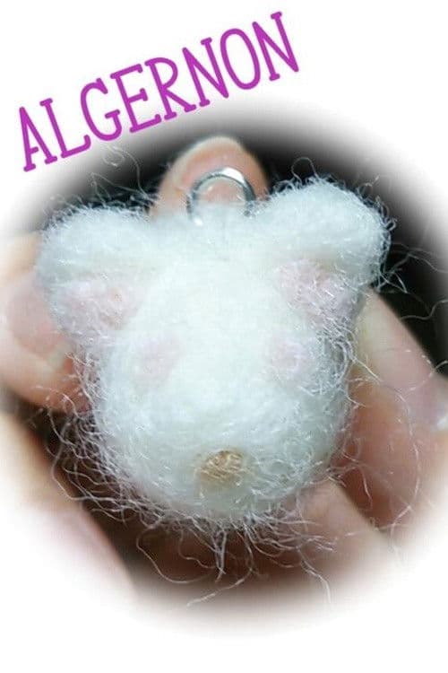 Flowers for Algernon